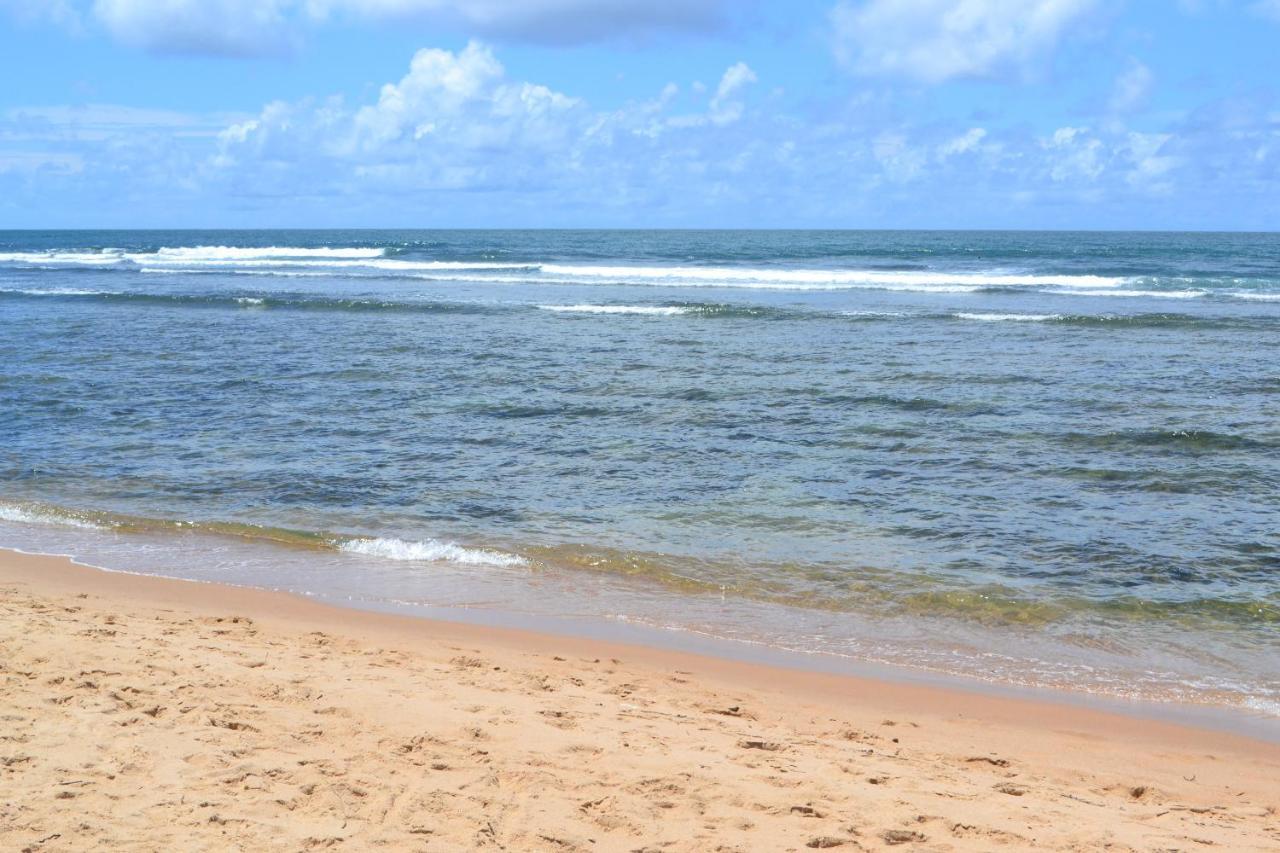 Praia Do Forte, Piscinas Naturais Экстерьер фото
